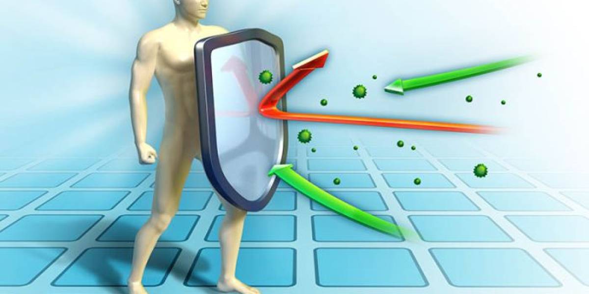 hvordan styrke immunforsvaret