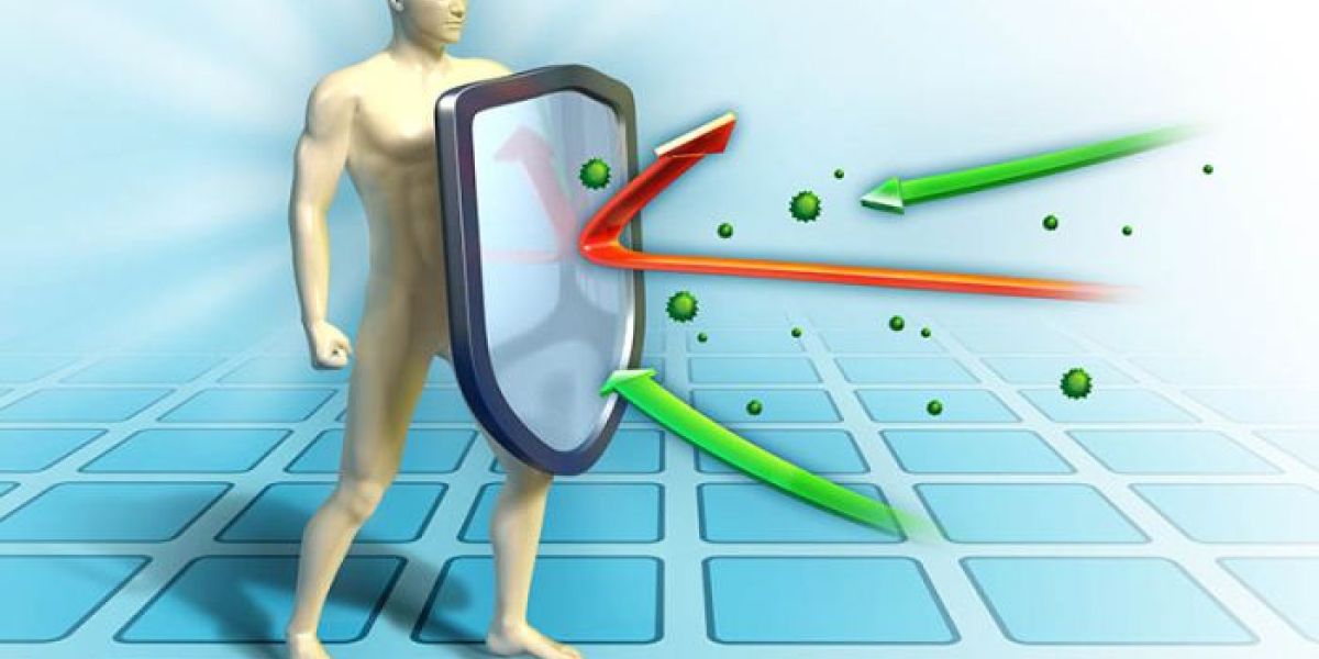 hvordan styrke immunforsvaret